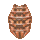 item_1246.png